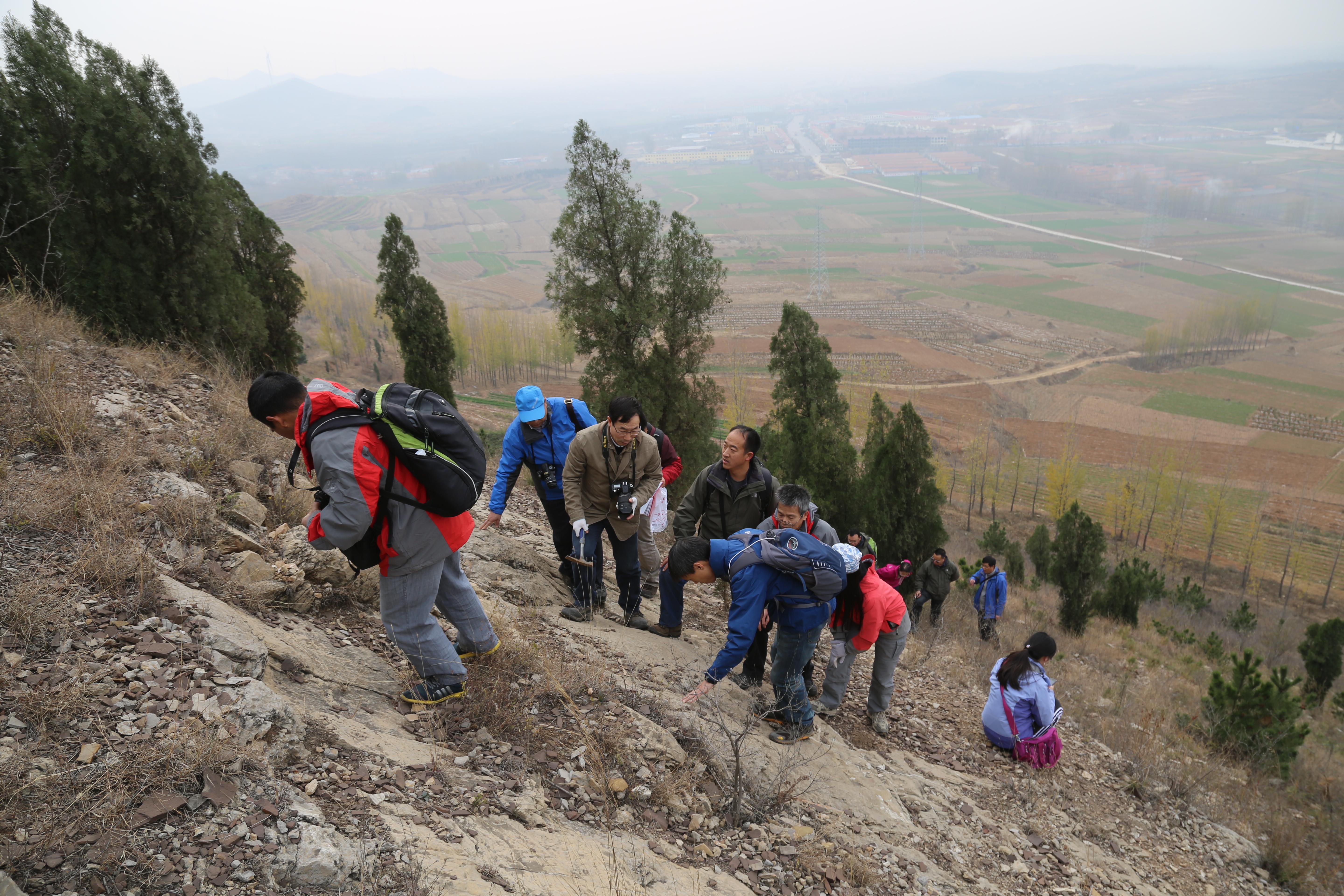 william威廉中文官网