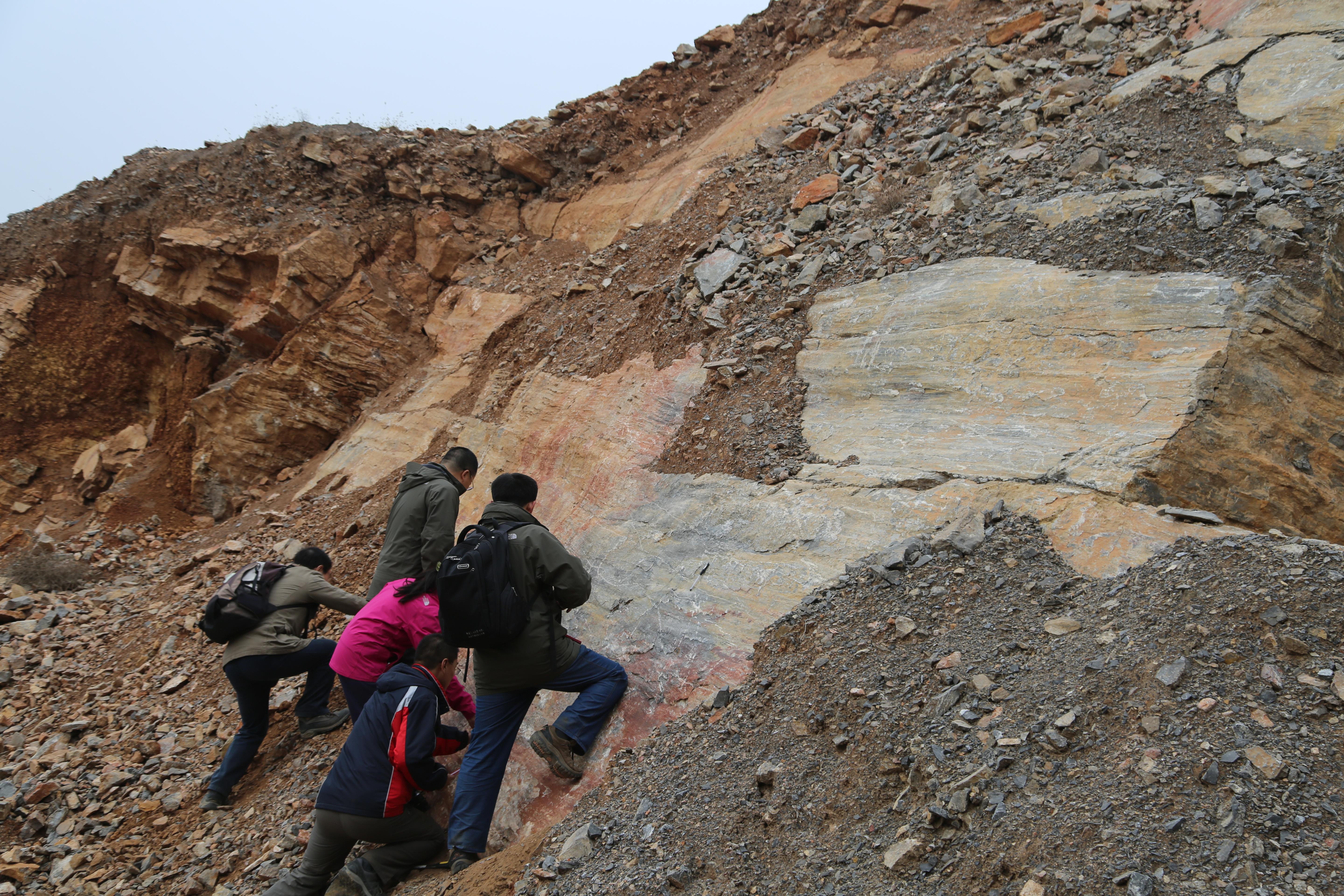 william威廉中文官网